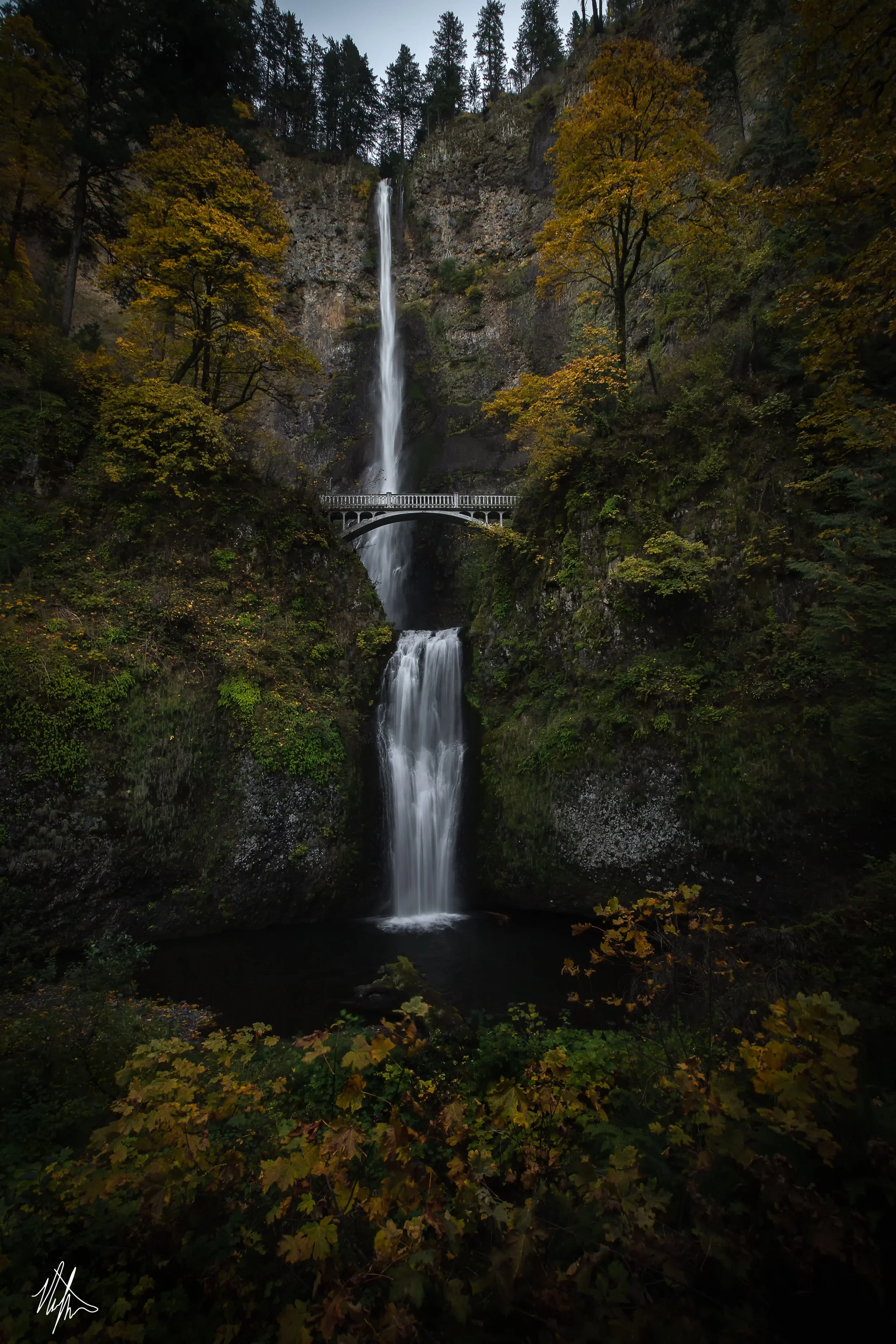 multnomah 12x18.jpg