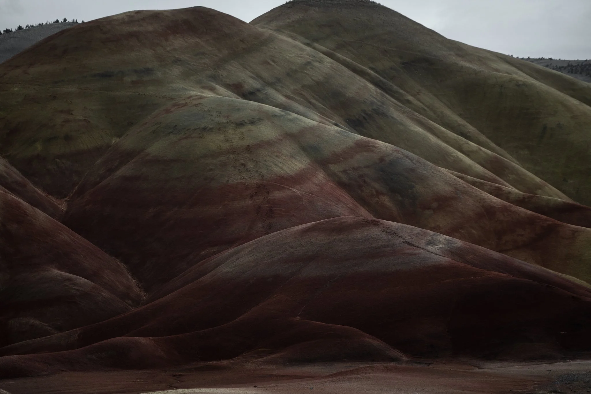 painted hills-6.jpg