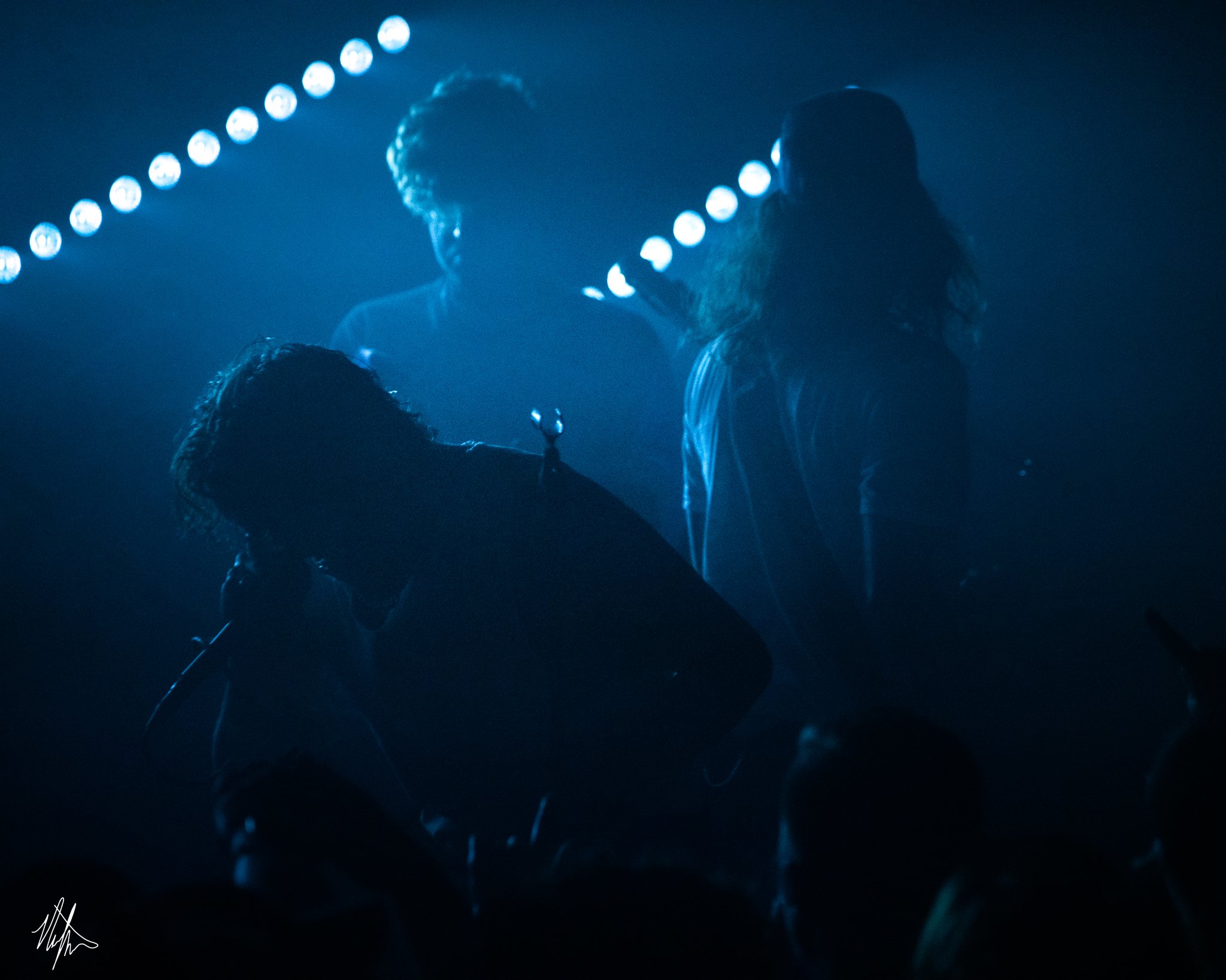 TDWP-2.jpg
