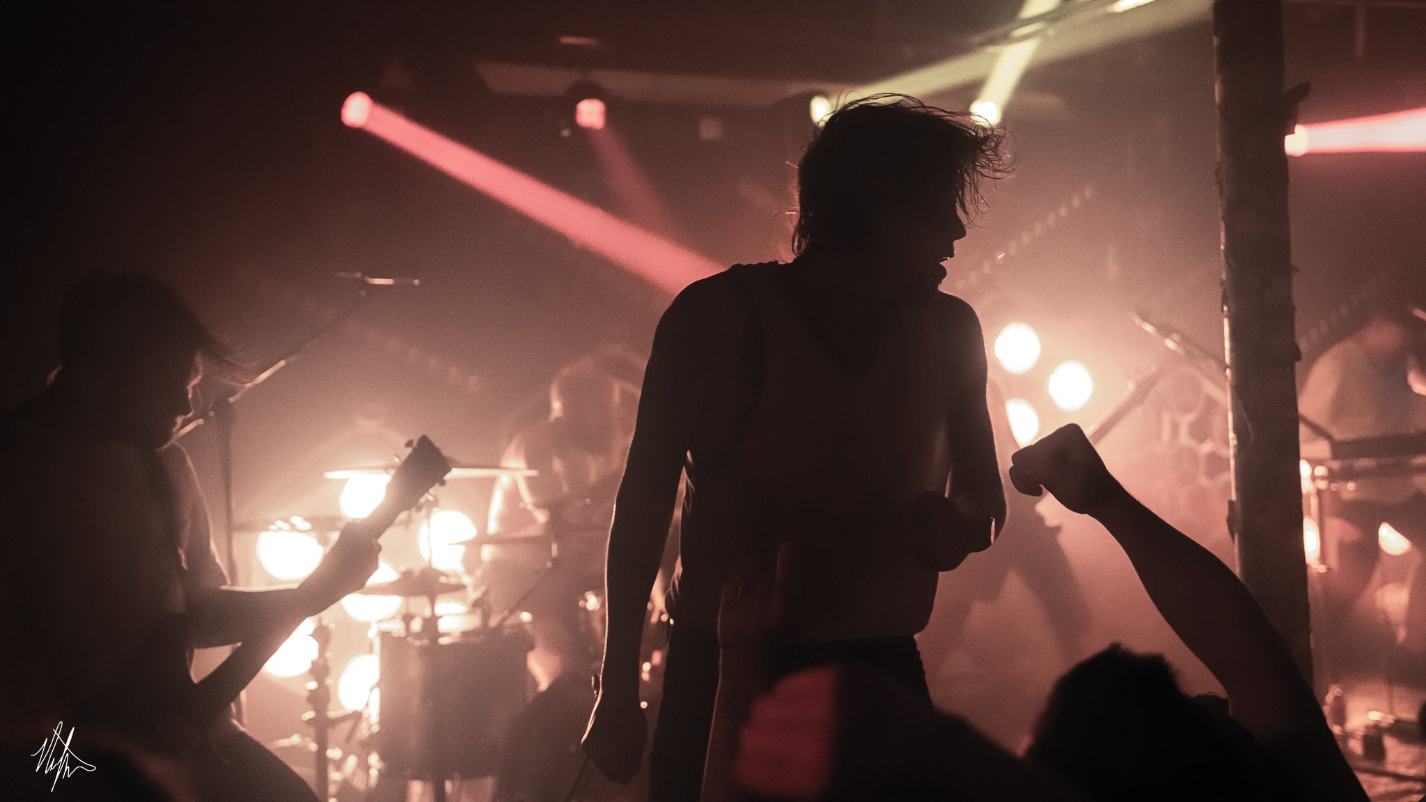 TDWP-3.jpg