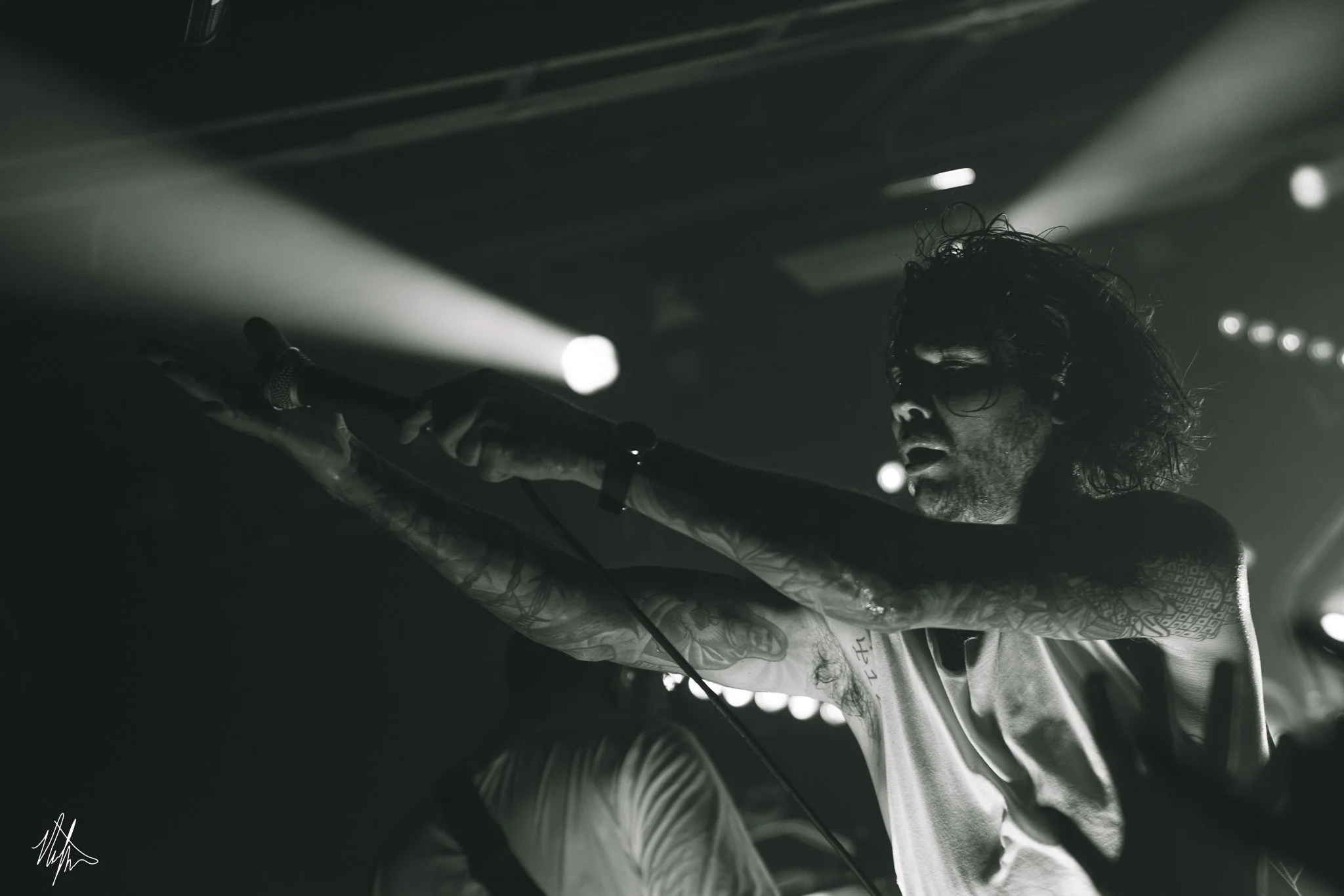 TDWP-4.jpg