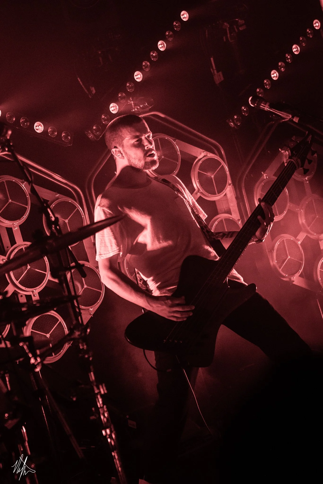 TDWP-5.jpg