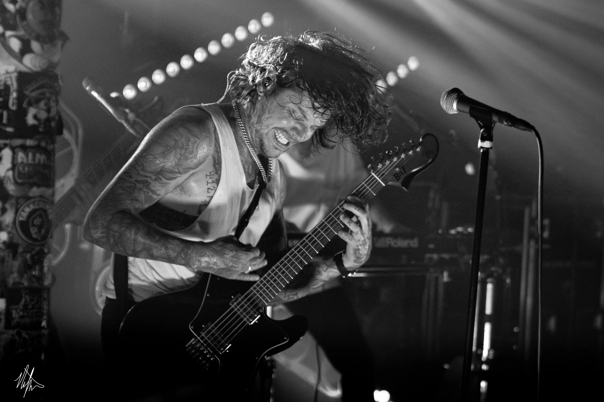 TDWP-8.jpg