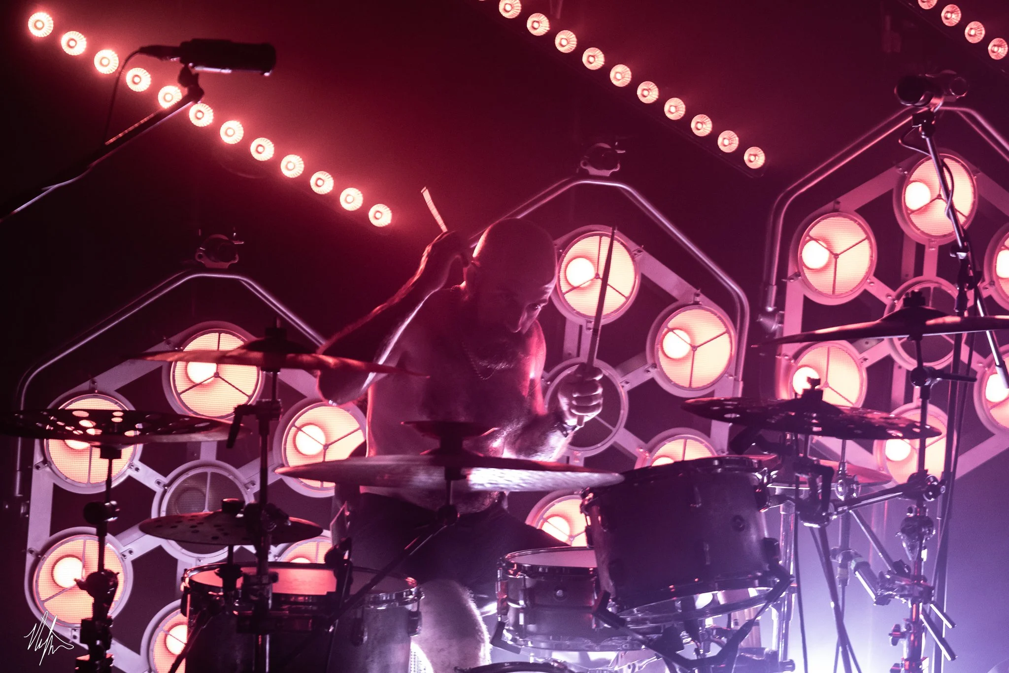 TDWP-11.jpg