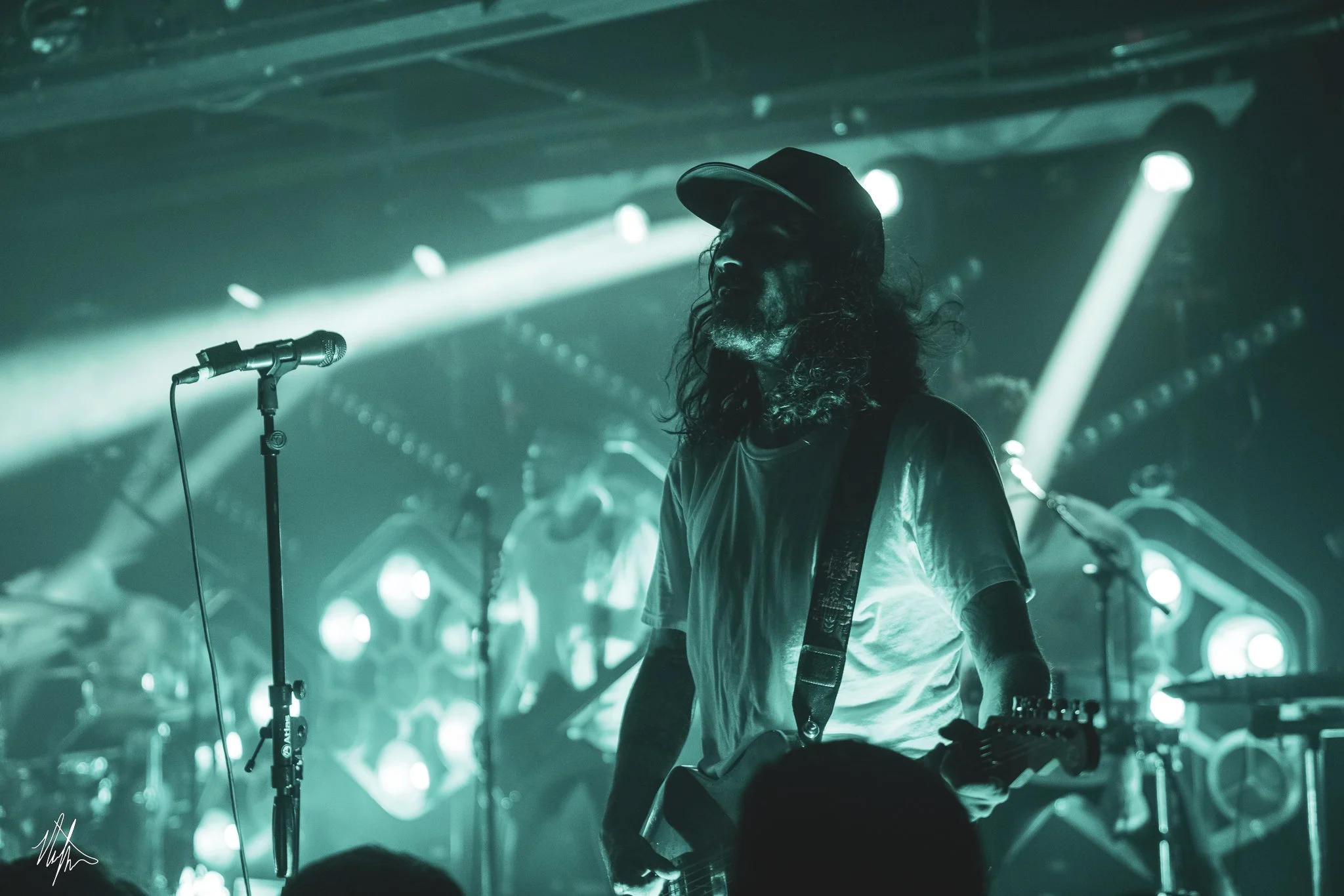TDWP-17.jpg