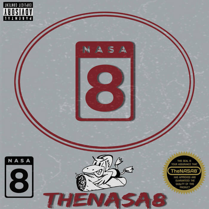 NASA8+ Vol​.​13