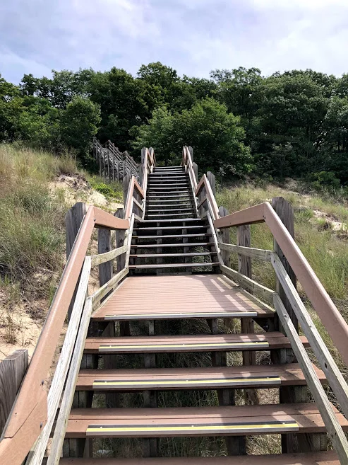 All About Cardio