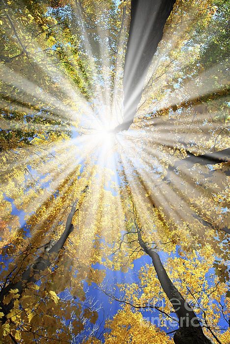 I've Got Sunshine...