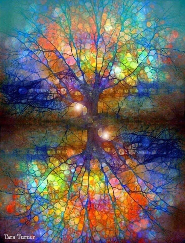 Noticing the changes?