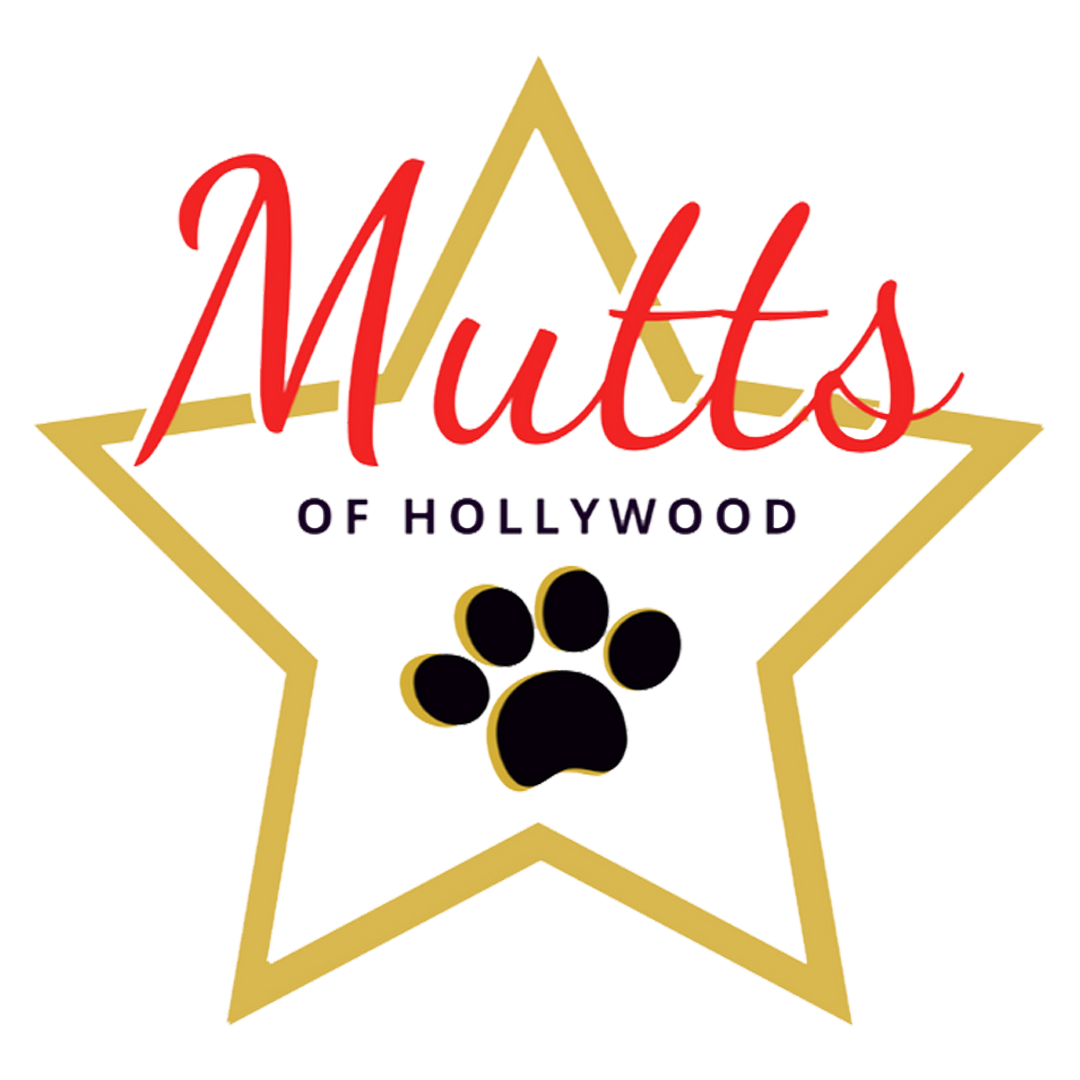 mutts of hollywood