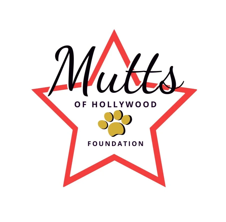 mutts of hollywood