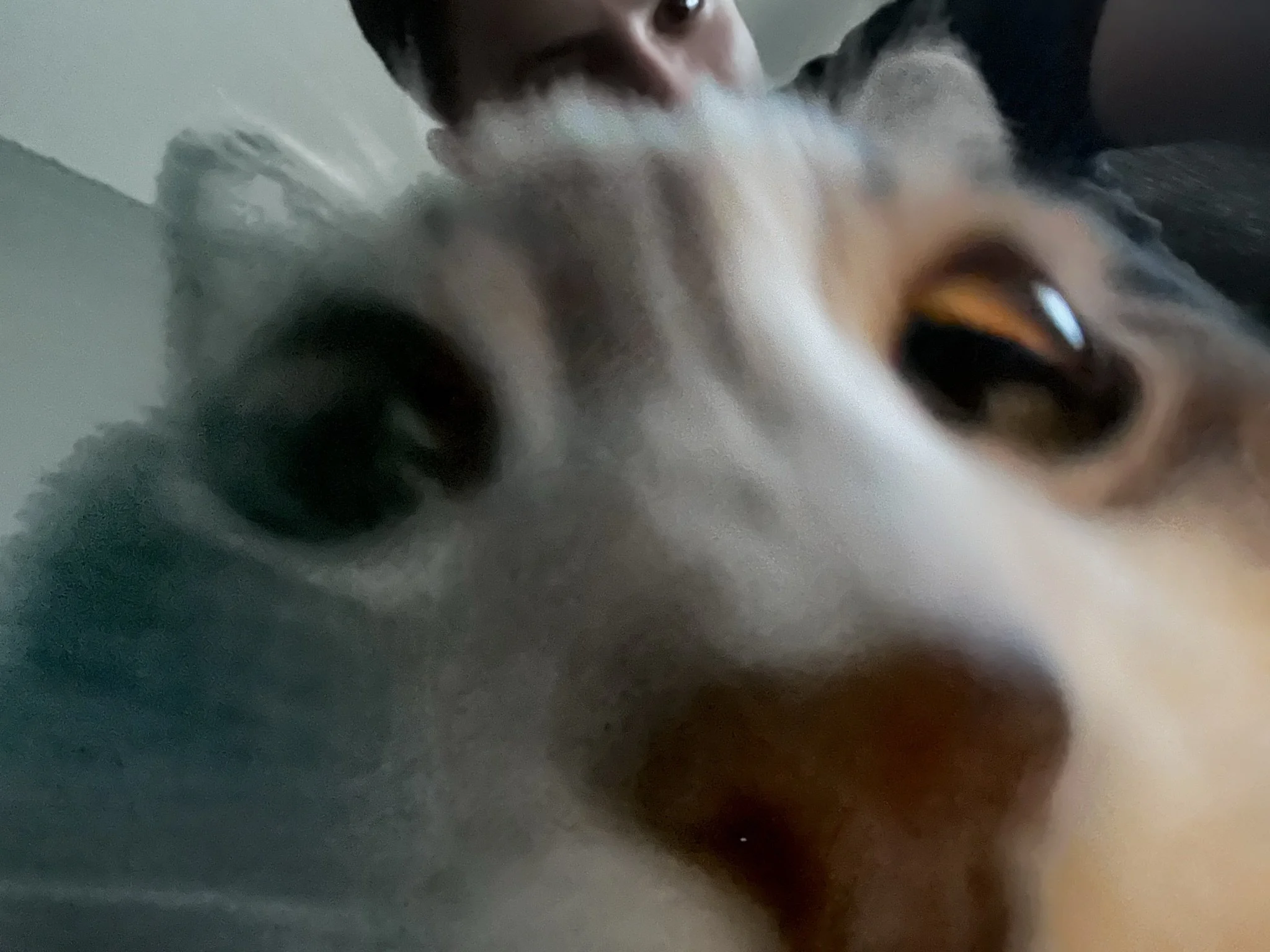 IMG_1044.JPEG