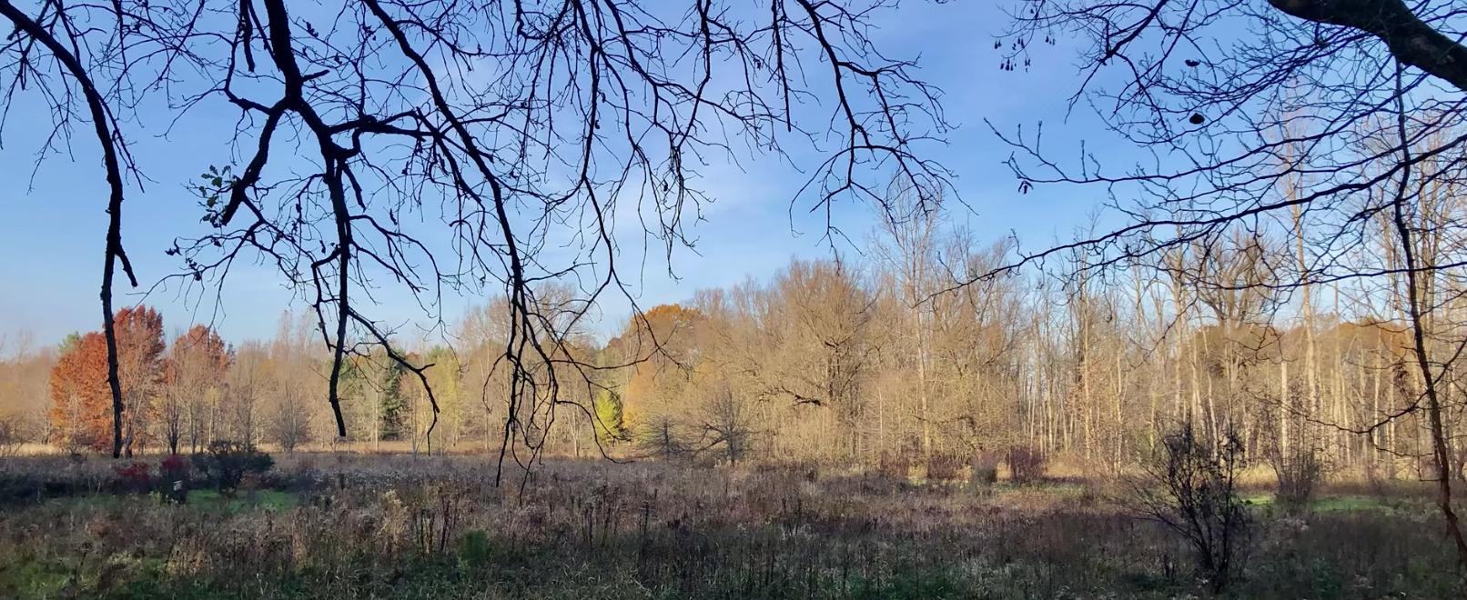 Field Recording: Chippewa Nature Center