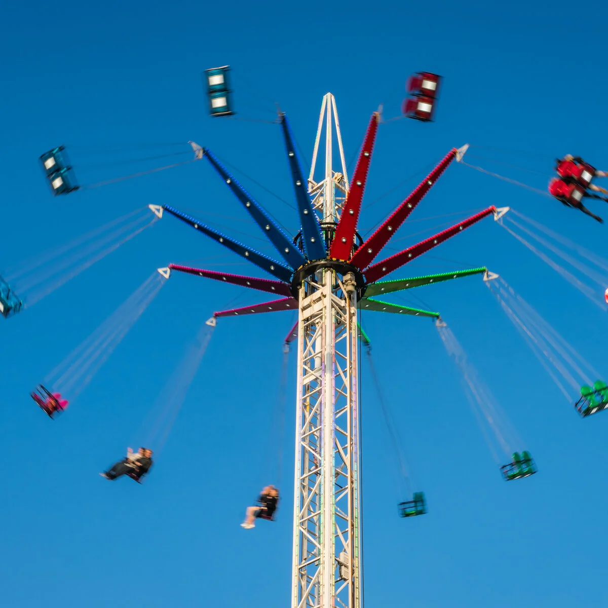 The Roller Coaster