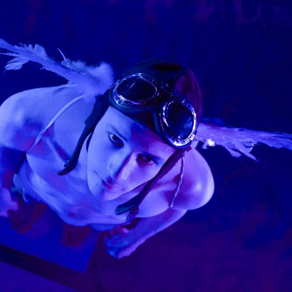 2013 - The Risk Project (The Icarus Chronicles)