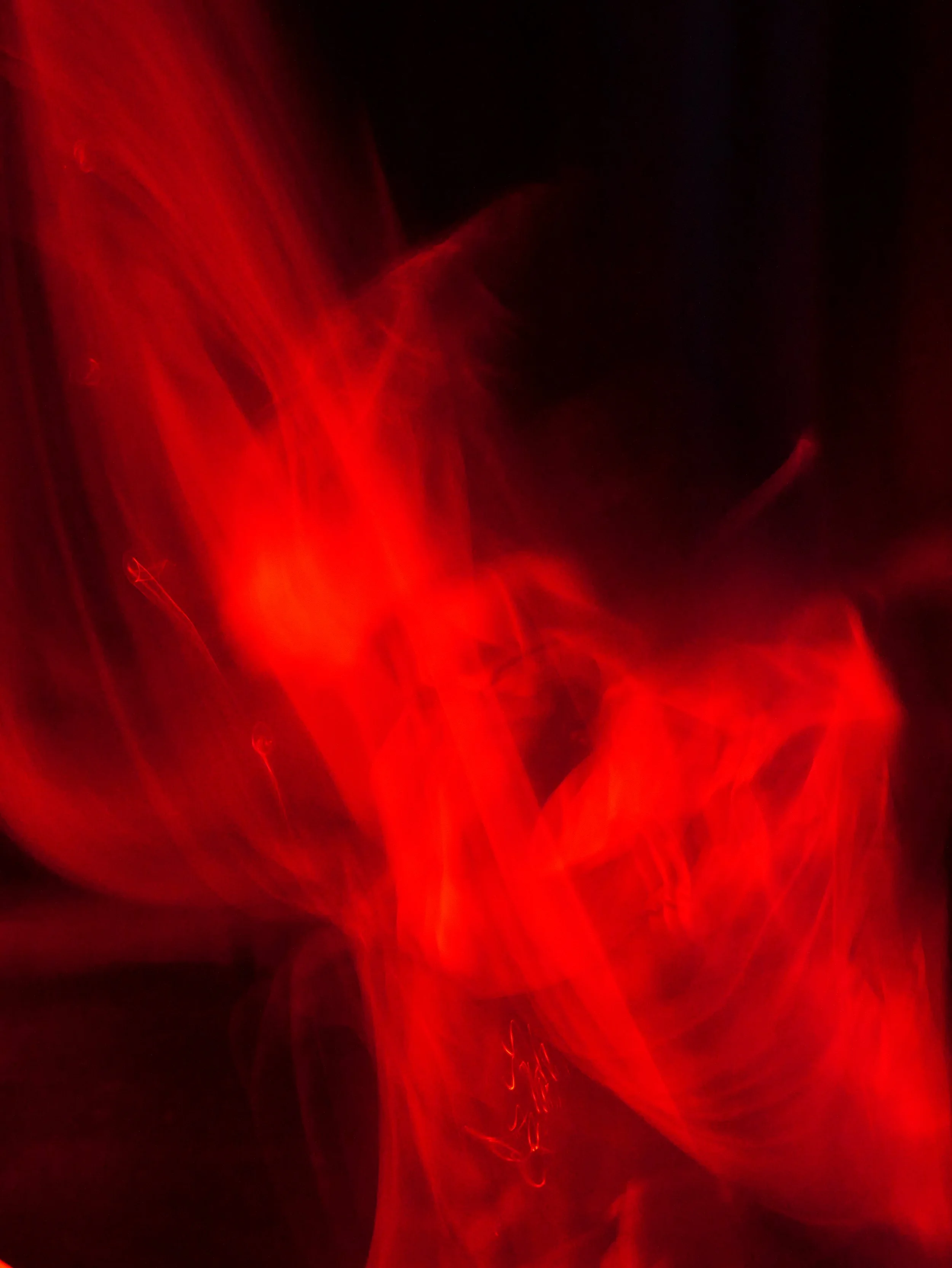 P1288792.JPG