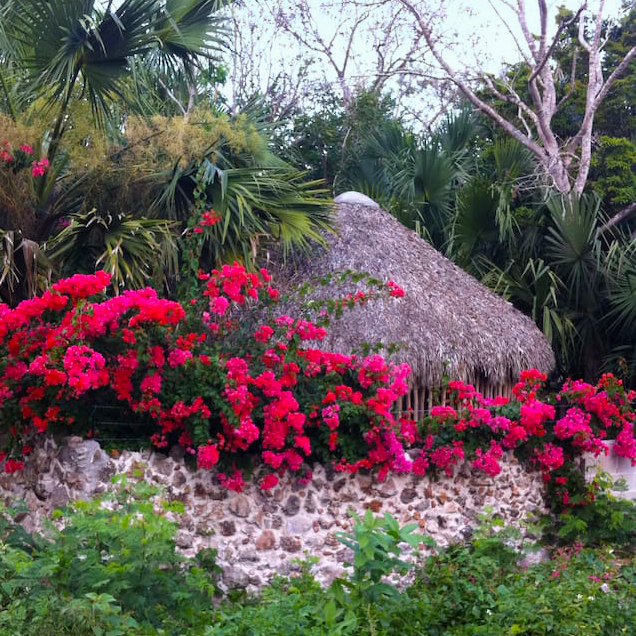 49d5a351-6eb0-4e82-87f4-24645eaa3a29 square.png