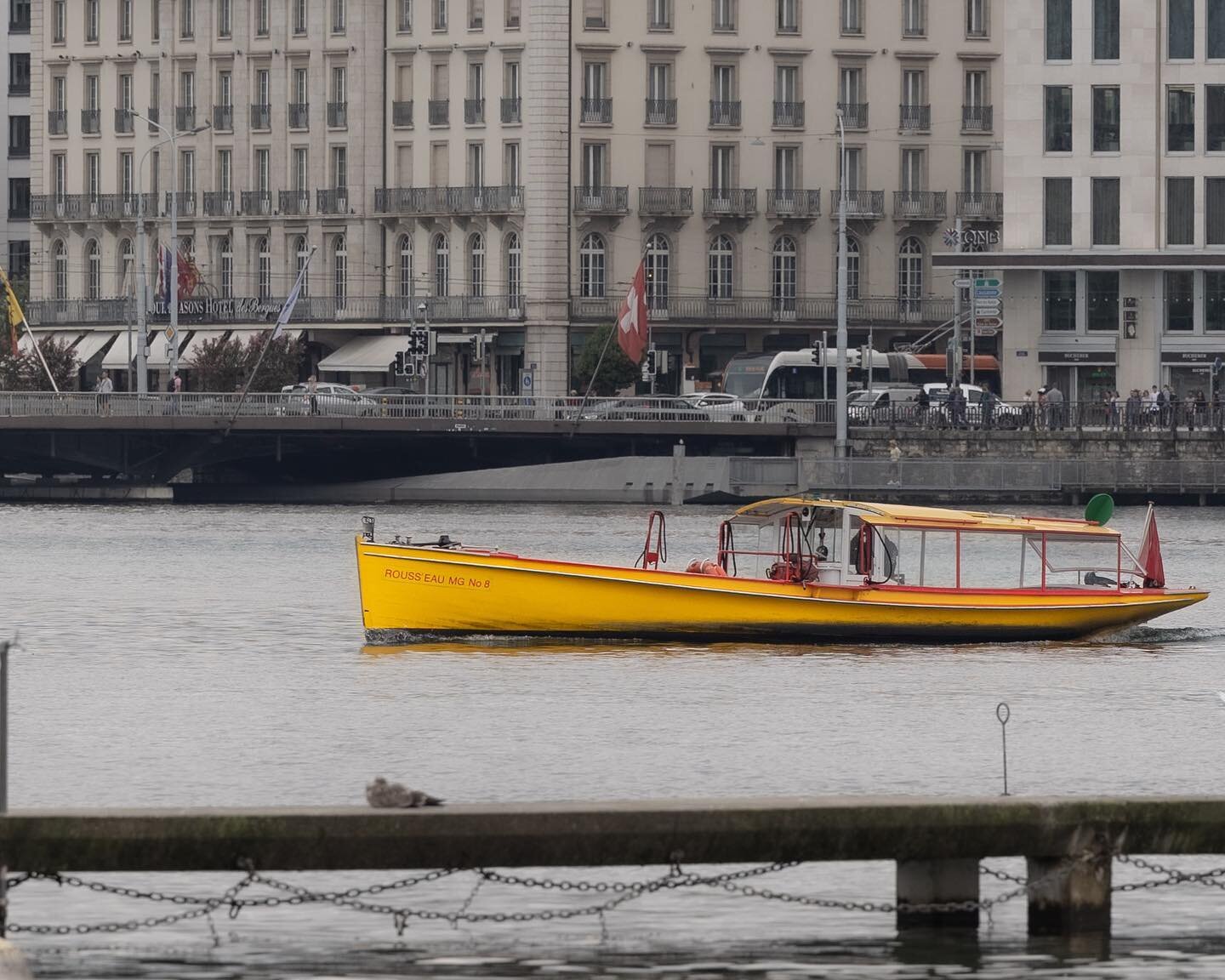 Mes photos pour le concours: #mouettesgenevoises22
@mouettes_genevoises @igersgeneva @tdgch #mouettes #geneve #geneva #geneva #geneve #genevalake #genevalife #genevephoto #boat #boats #yellowboat
