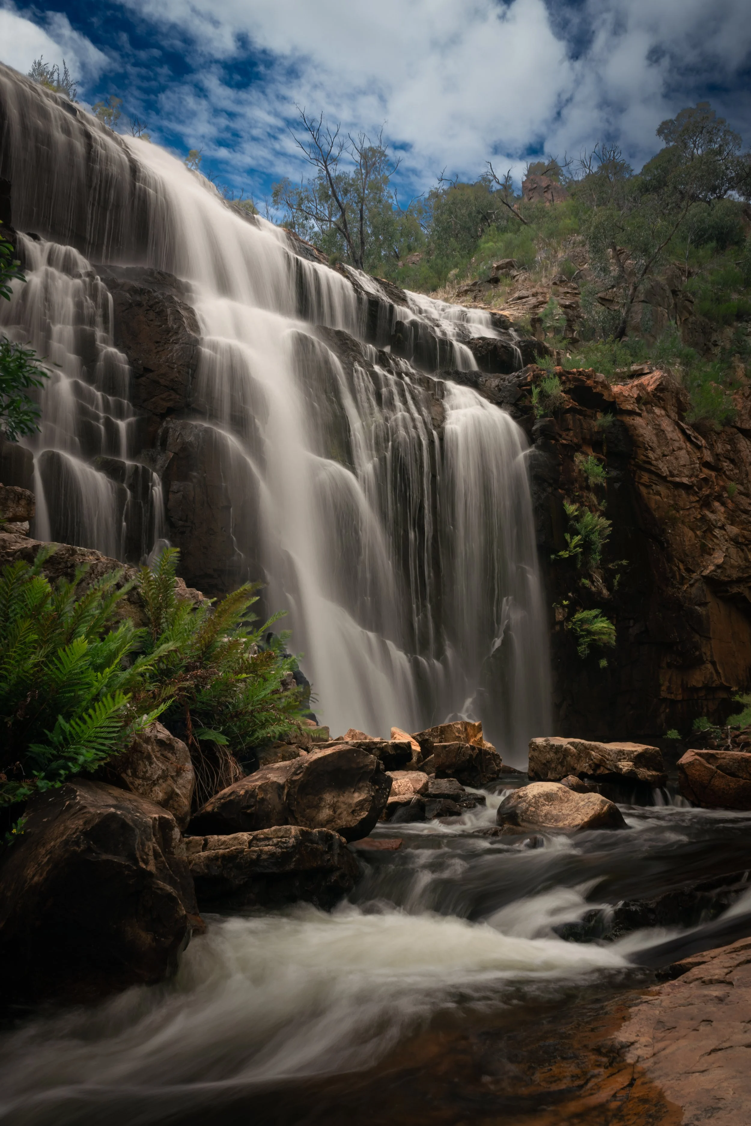 DFP_20250420_ (1 of 1).jpg