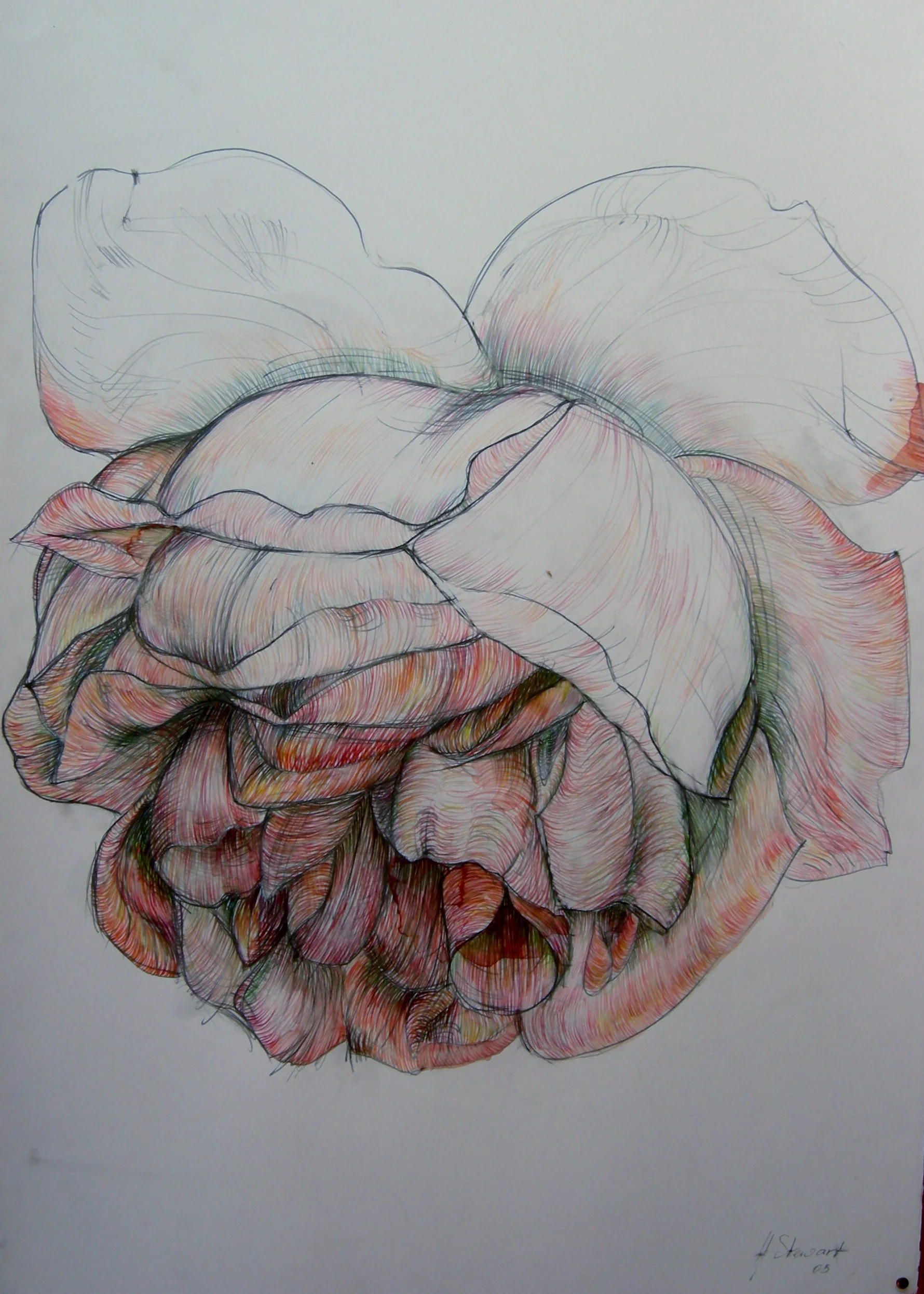 Study 11 for Bullata 2005