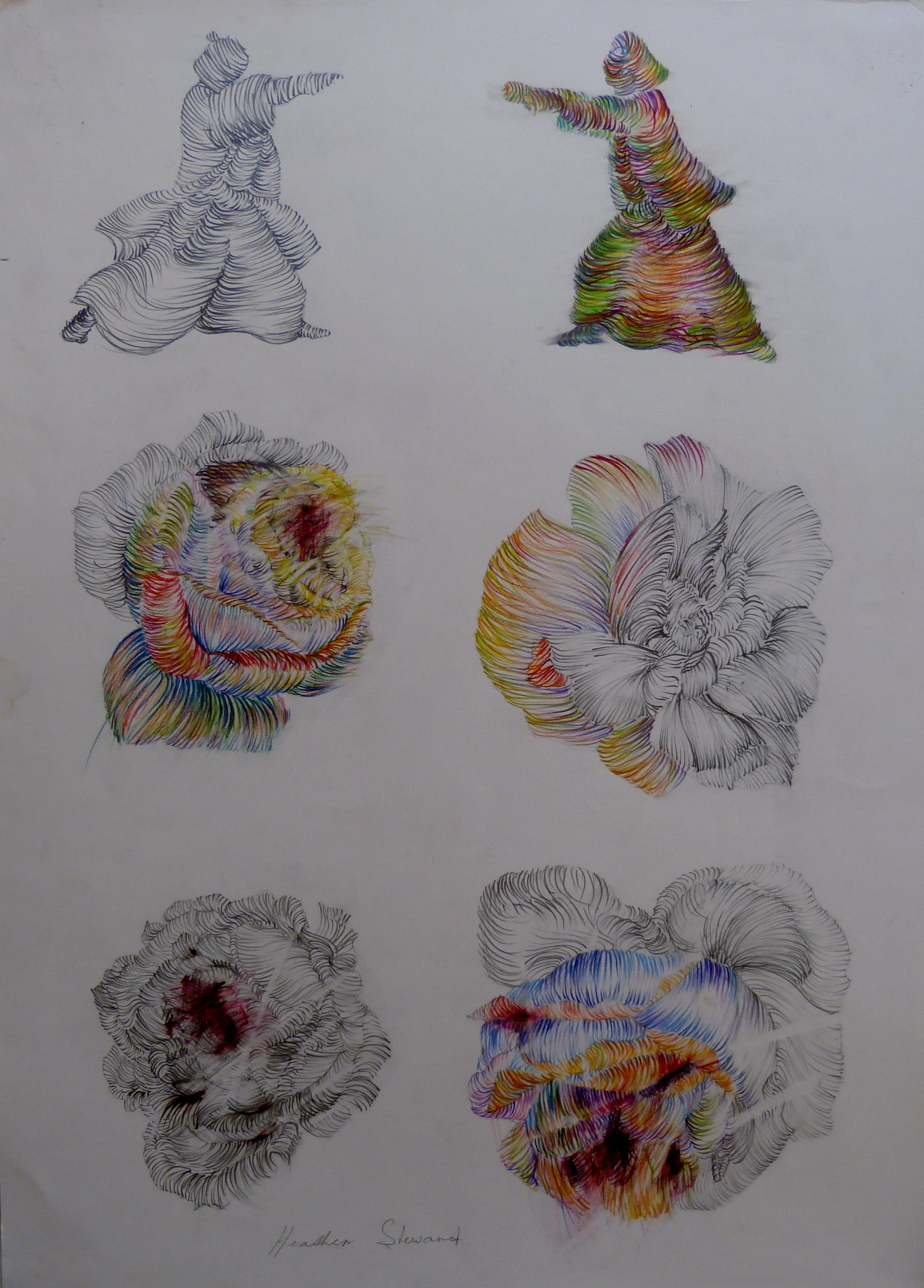 A Rose is a Rose 11,   2007