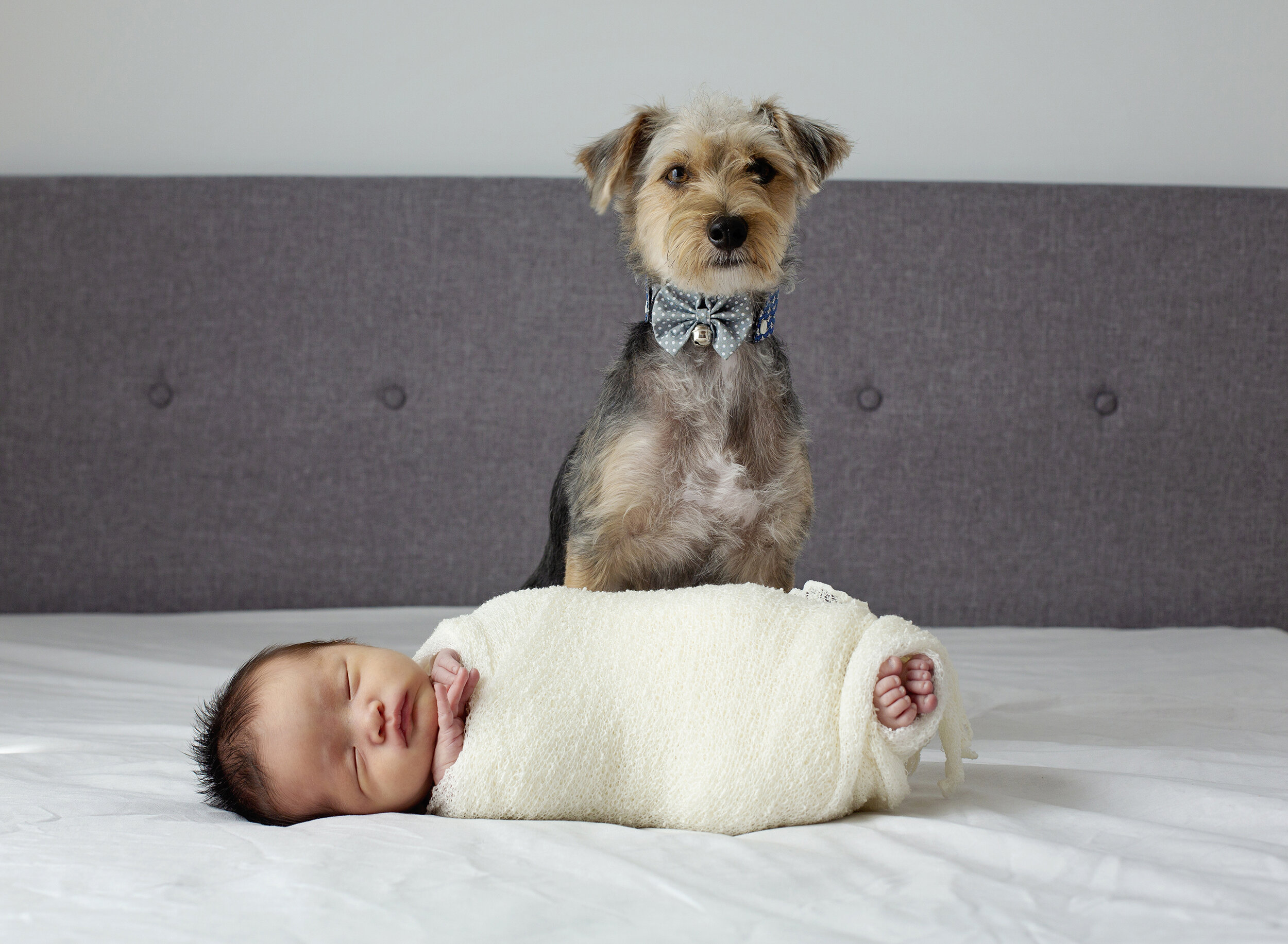 Photography-singapore-baby-newborn-family-portraits.jpg