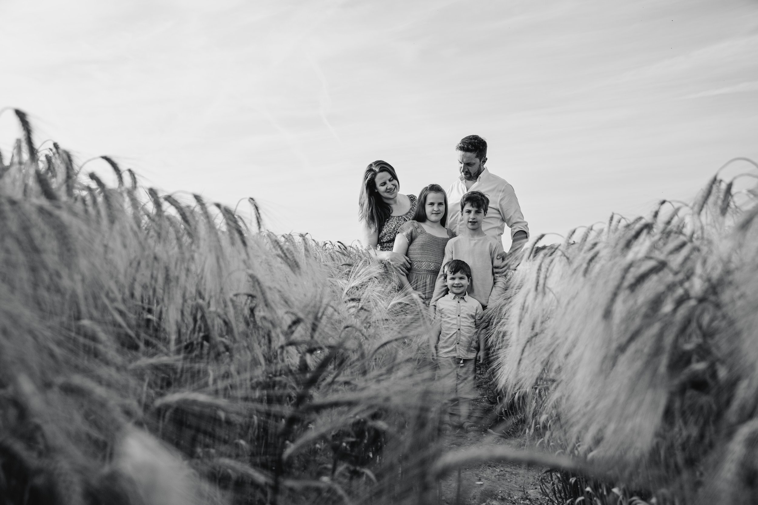 Harpenden-St-albans-hertfordshire-family-portraits-outdoor-summer-barleyfields (7).jpg