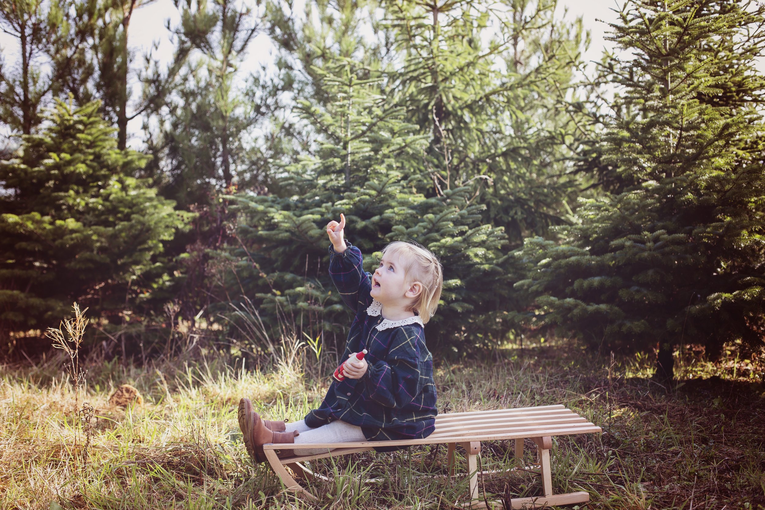 Christmas-mini-family-photo-session-hertfordshire-stalbans-harpenden-ware-IMG_0918.jpg