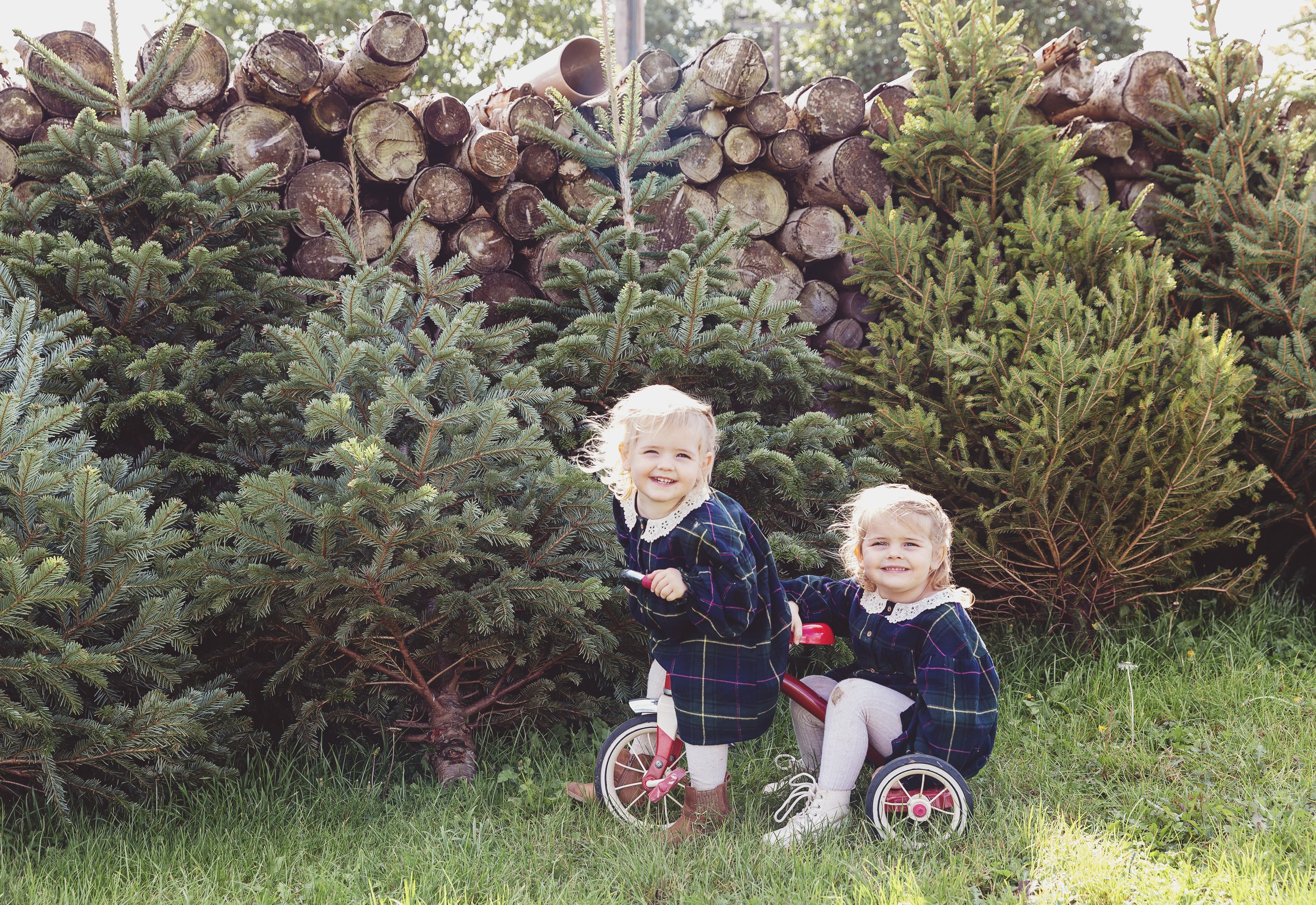Christmas-mini-family-photo-session-hertfordshire-stalbans-harpenden-ware-IMG_1080 copy.jpg