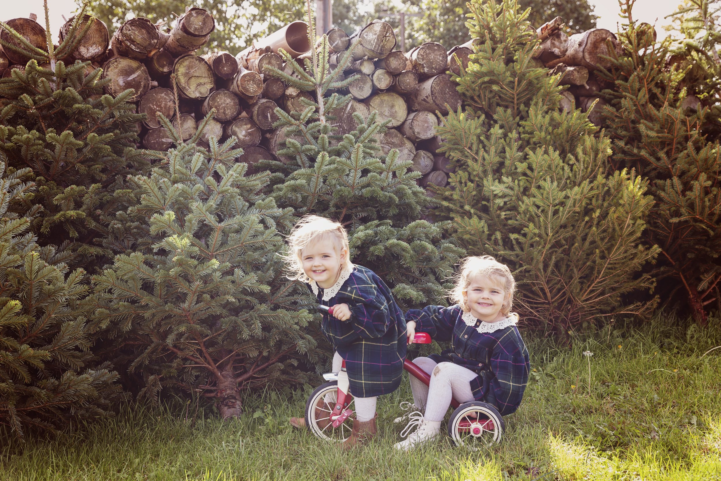 Christmas-mini-family-photo-session-hertfordshire-stalbans-harpenden-ware-IMG_1081 copy.jpg