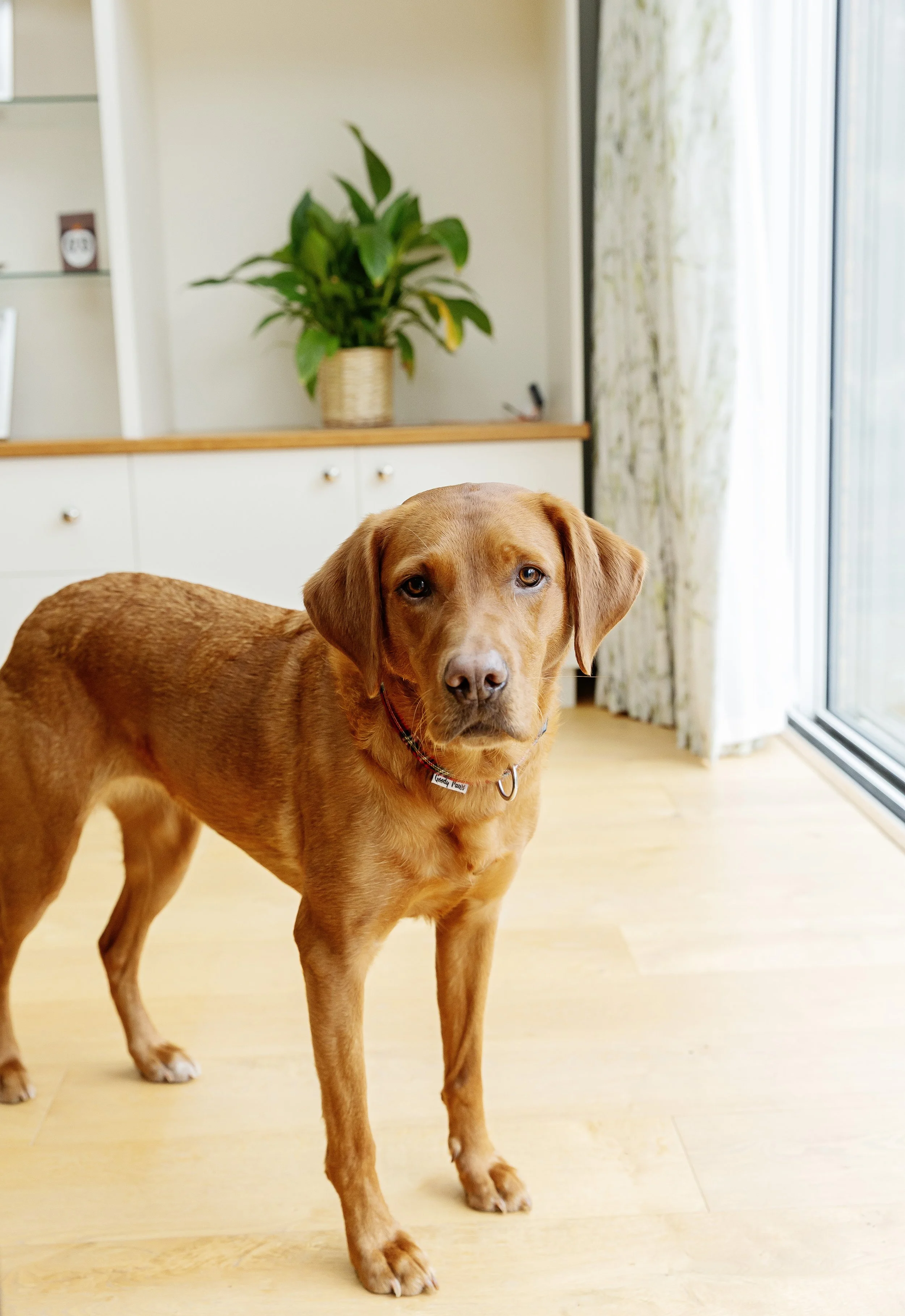 Evie-grace-photography-.Baby-photo-shoot-St-albans (7).jpeg