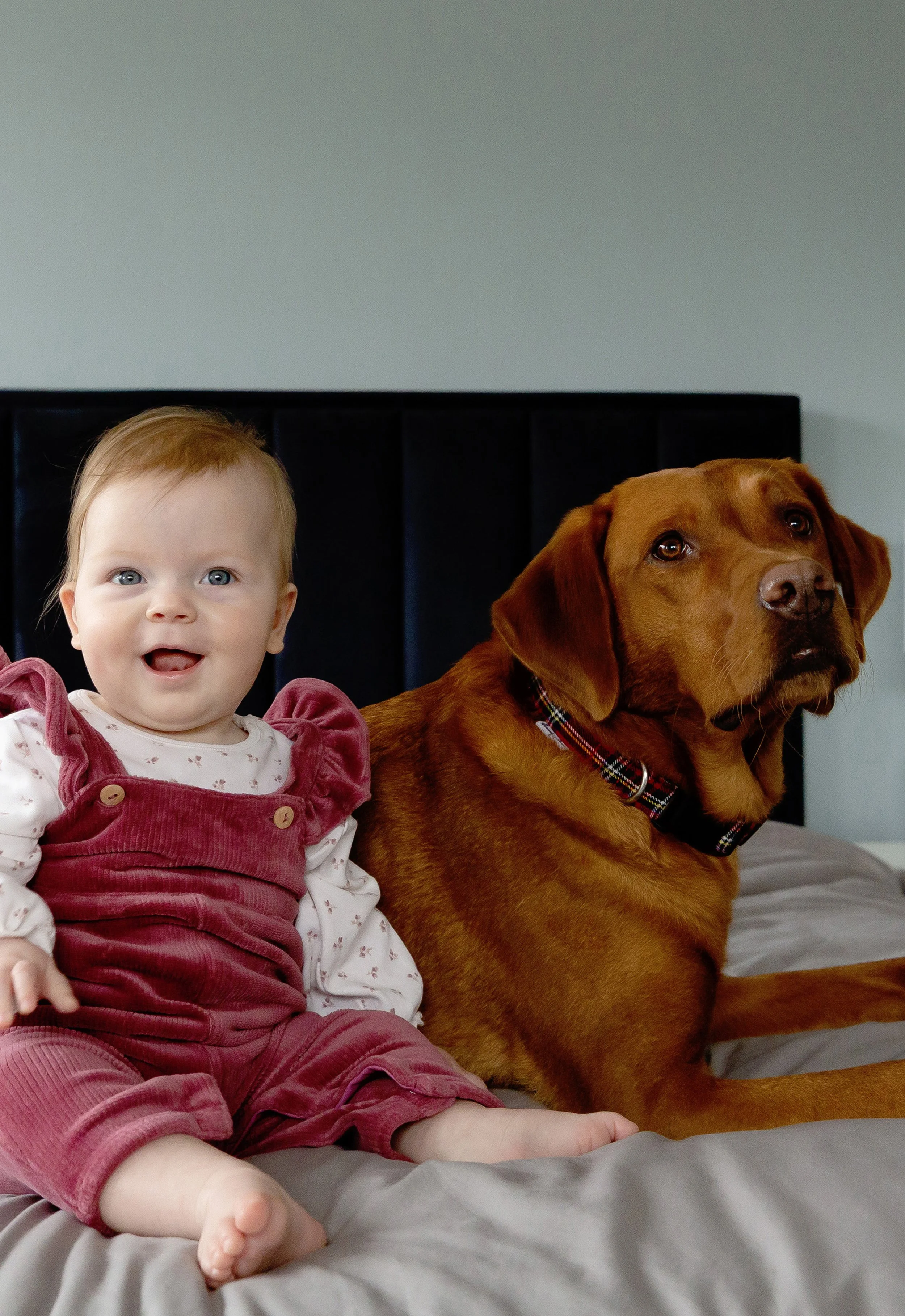 Evie-grace-photography-.Baby-photo-shoot-St-albans (11).jpeg