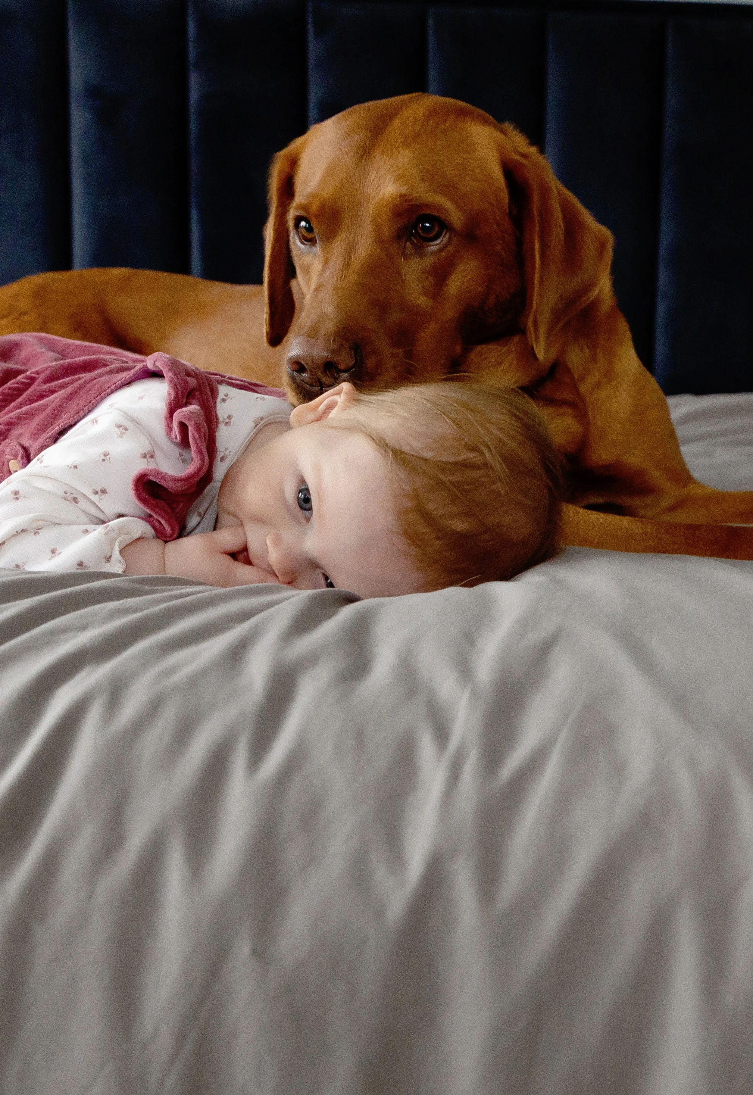 Evie-grace-photography-.Baby-photo-shoot-St-albans (13).jpeg