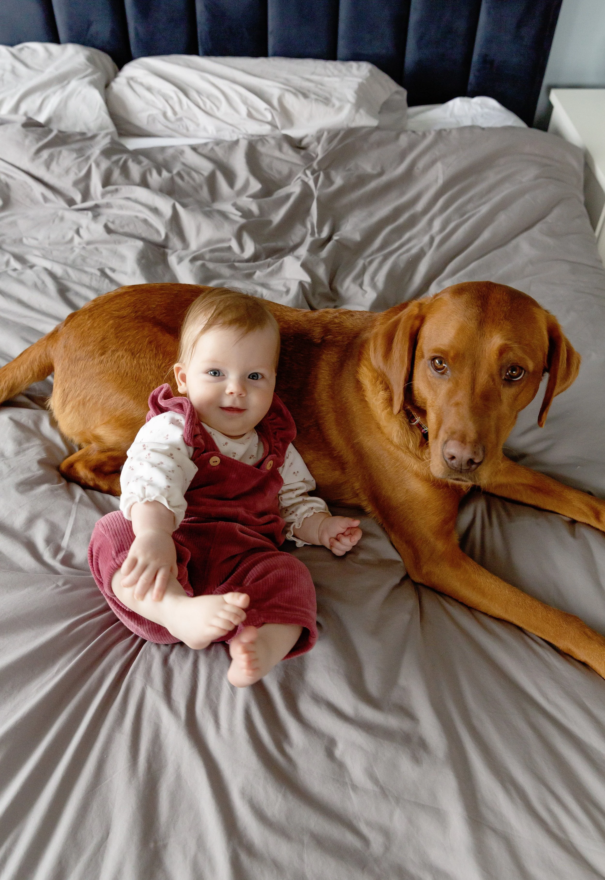 Evie-grace-photography-.Baby-photo-shoot-St-albans (19).jpeg