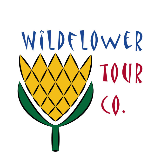 wildflower tour co