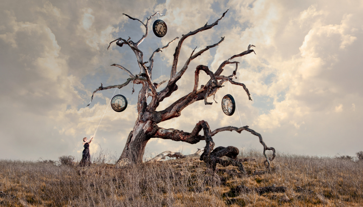 Aaron Blumenshine Photography
