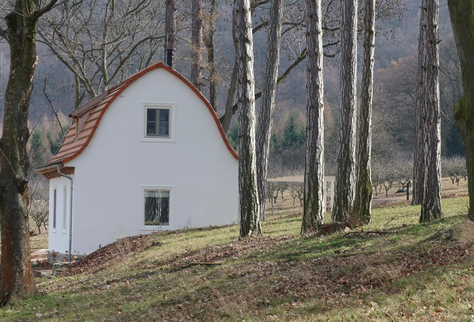 WhatsApp Image 2026-03-09 at 6.53.53 PM.jpeg