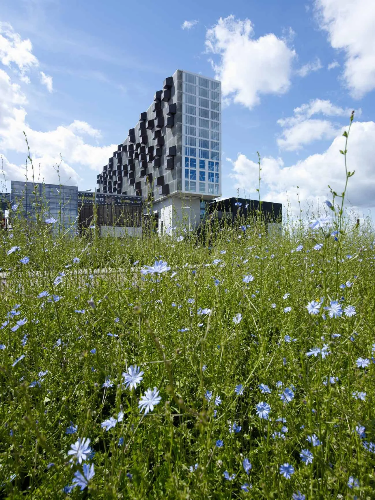 OpenBuilding_Mei_Schiecentrale_photo_northeastcorner_JeroenMusch.jpg