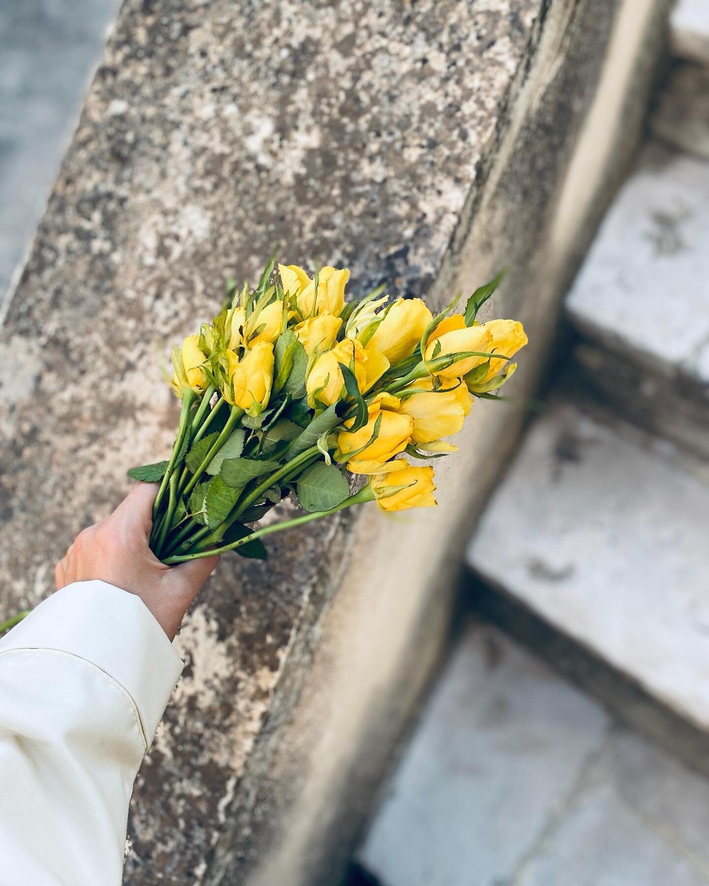 A little gift 🌷
 #jaune #couleurjaune #yellow #wearyellow #yellowday #yellowstyle #couleurjaune #vetementjaune #yellowlover #flower #flowers #bouquet #floweryday #floral #dailyflower #fleurdujour #fleursdujour #flowerlover #passionfleur #vetementsjo