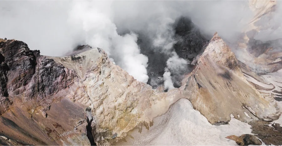 Tincidunt augue interdum velit euismod