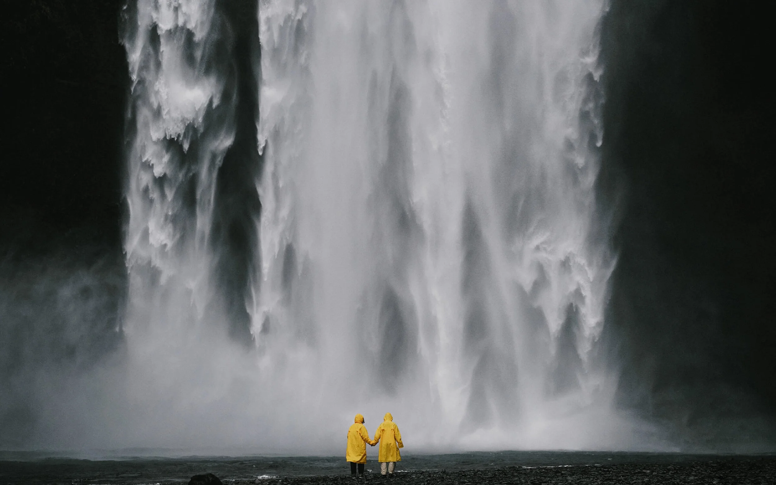 Your Investment Guide