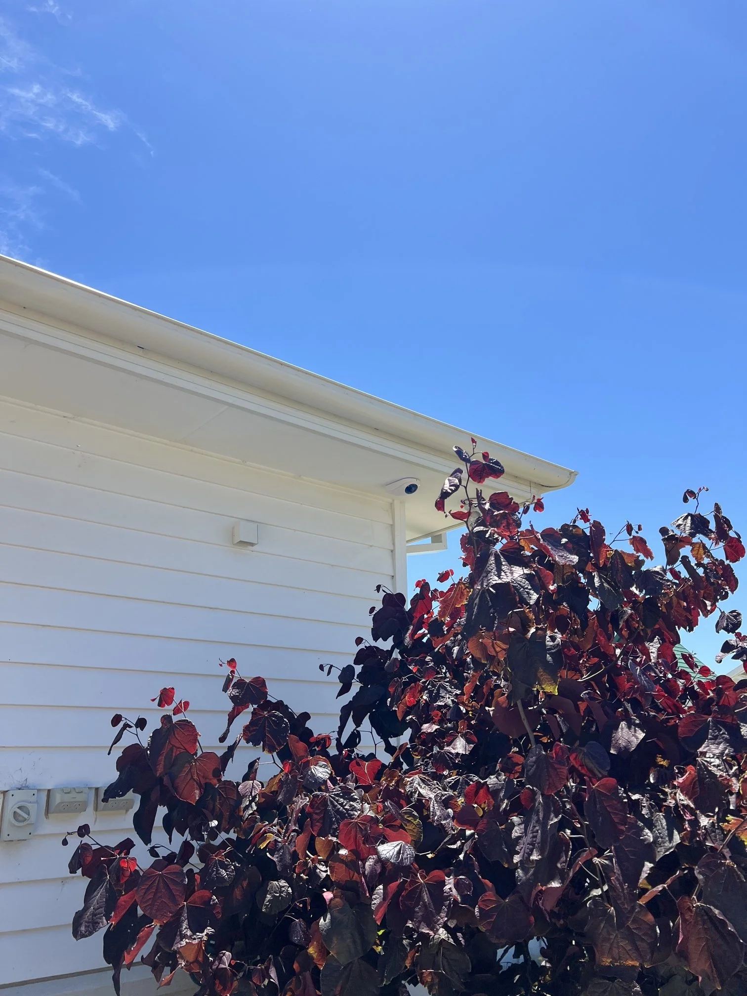 Security, CCTV, Power &amp; Data Installation in Eltham