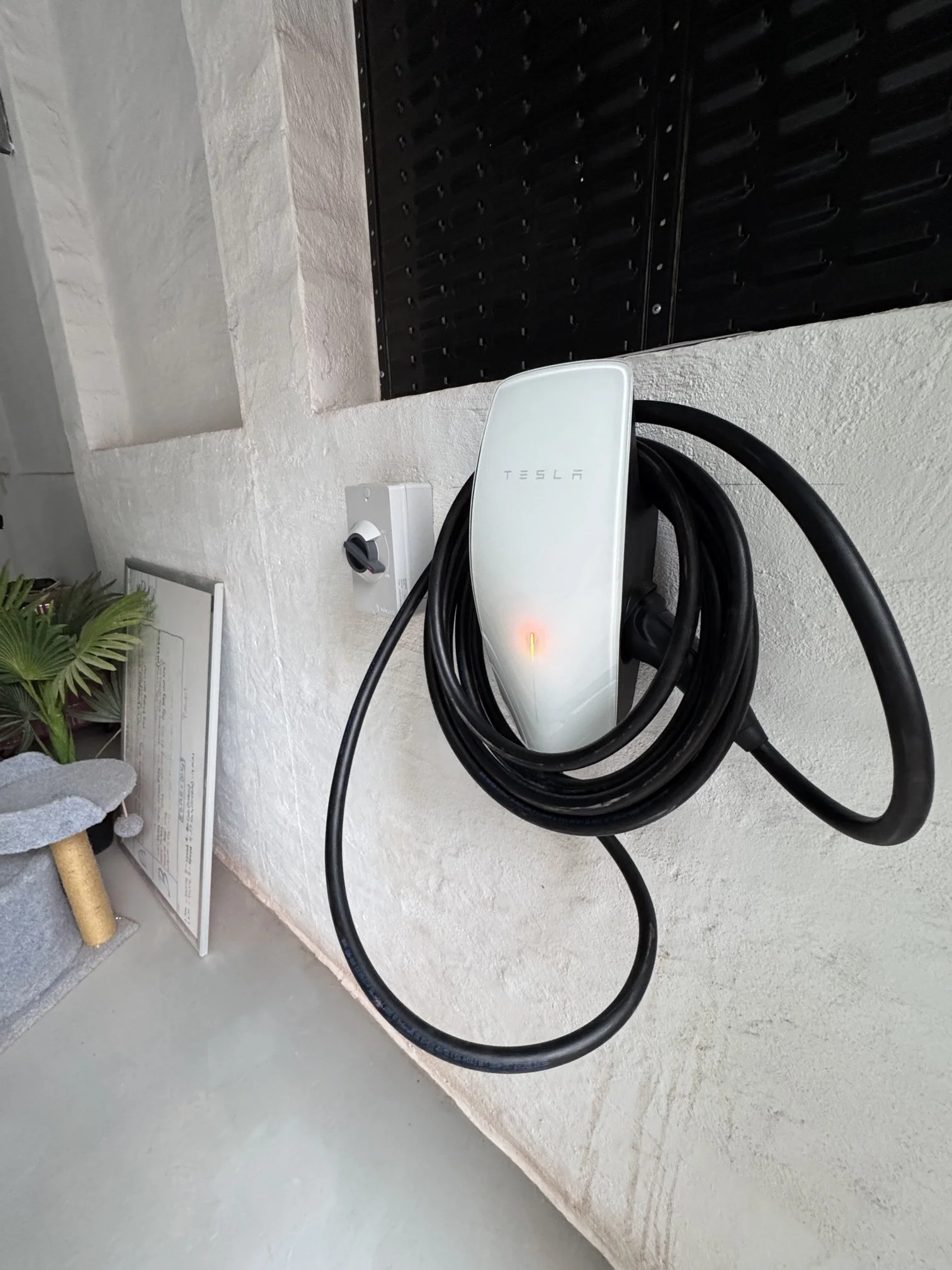 Photo - 2026-02-13T114620.341.jpg