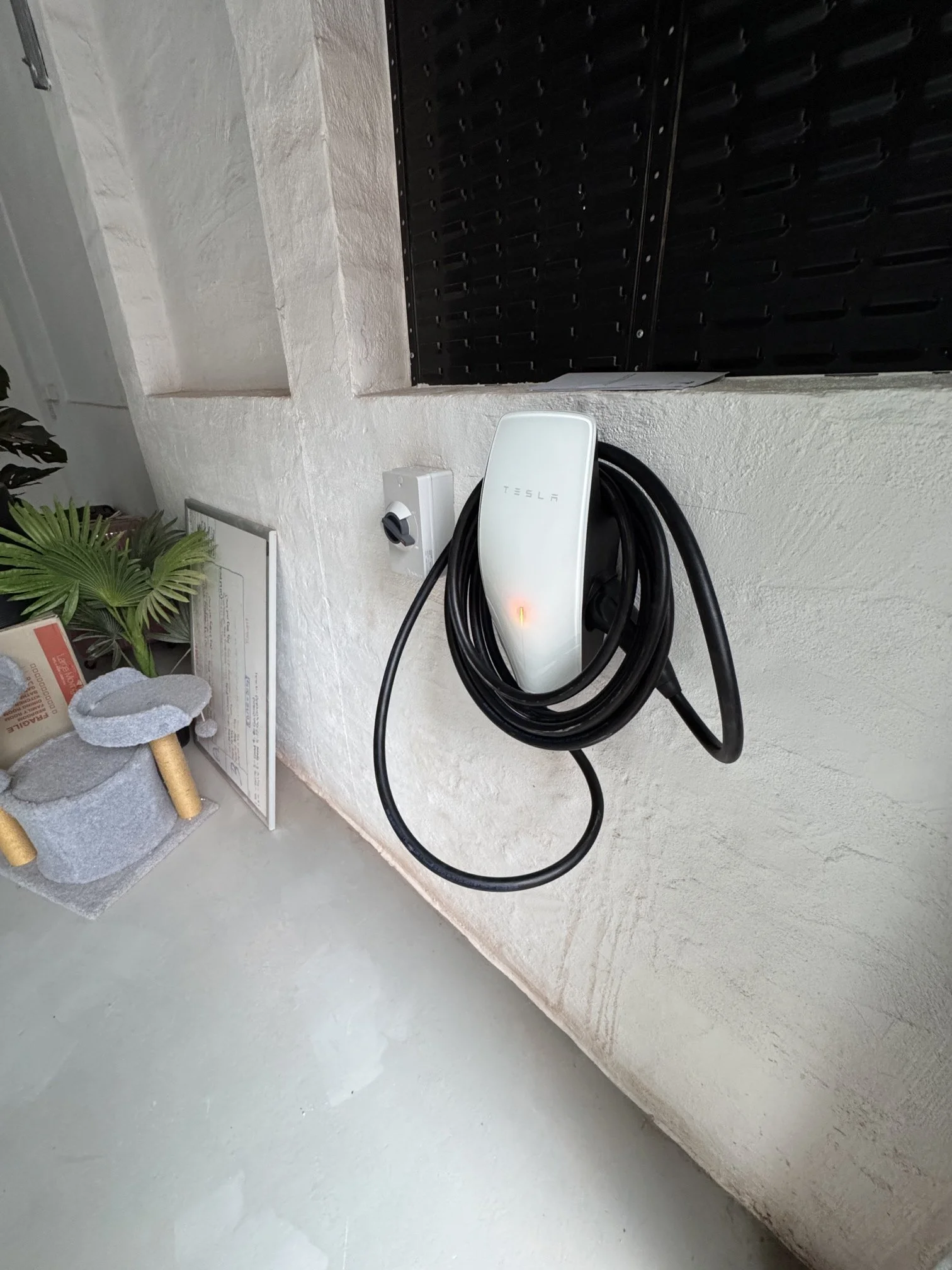 Photo - 2026-02-13T114612.256.jpg