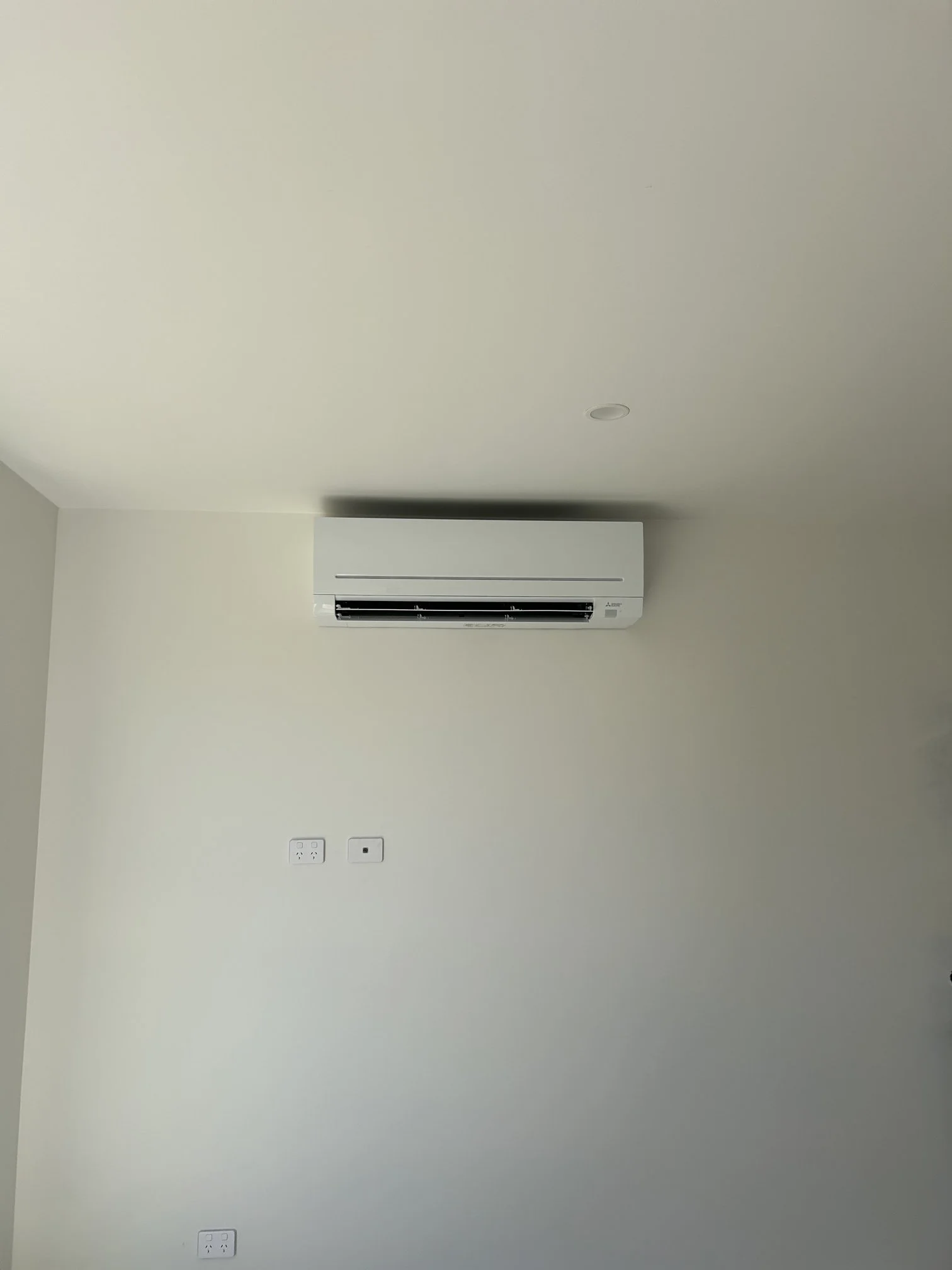 Photo - 2026-02-20T163721.302.jpg