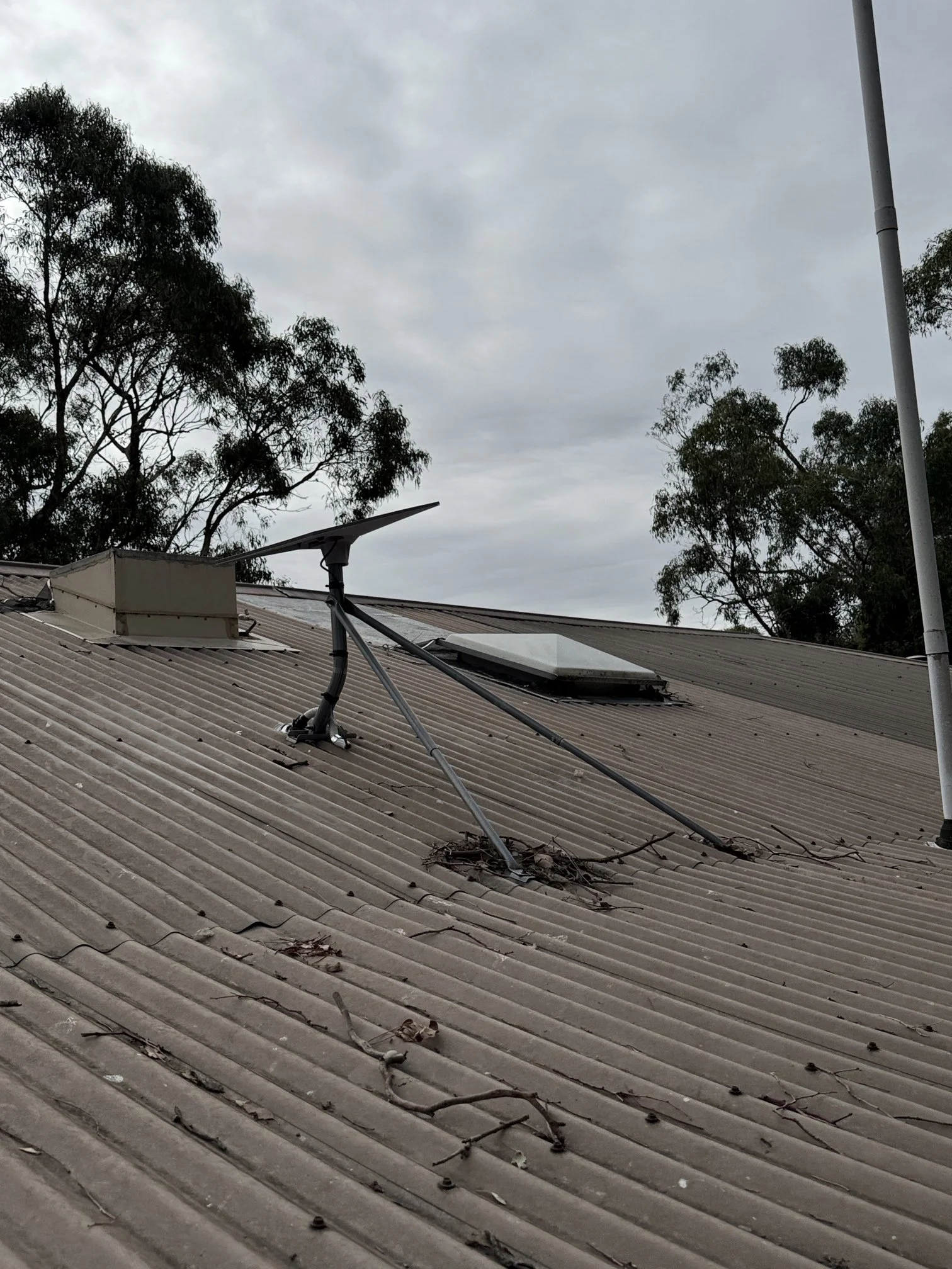 Photo - 2026-03-05T113508.153.jpg