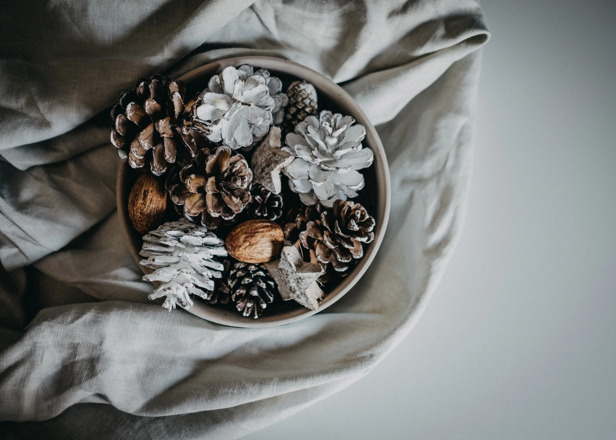 THRIVING VS. SURVIVING THIS CHRISTMAS