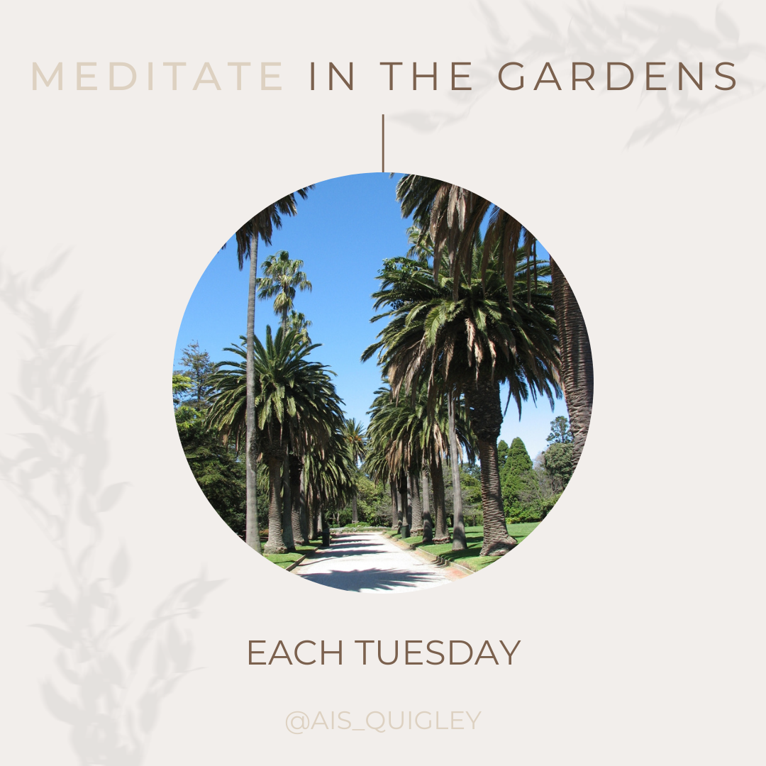 Meditate in The Gardens