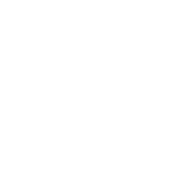 BB logo White.png