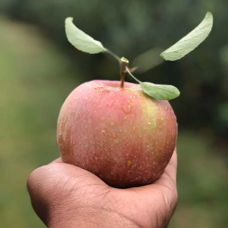 Quality of life in Herefordshire